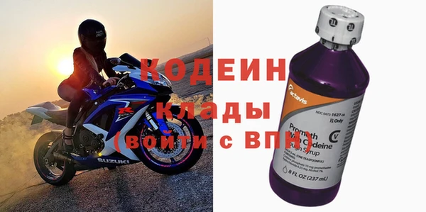 шишки Михайловск