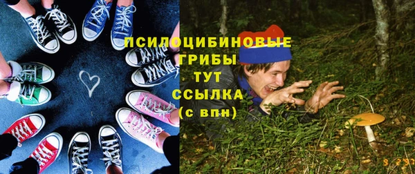 шишки Михайловск