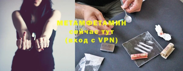 шишки Михайловск