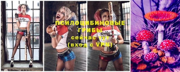 спайс Михайлов