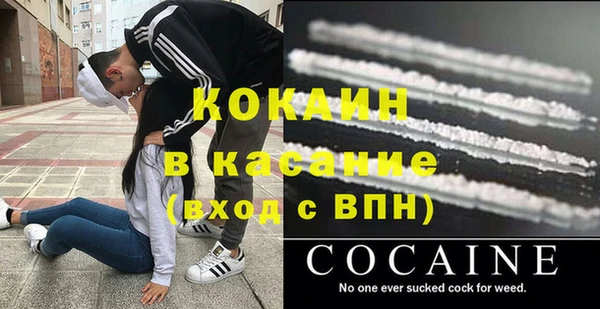 прущие грибы Навашино