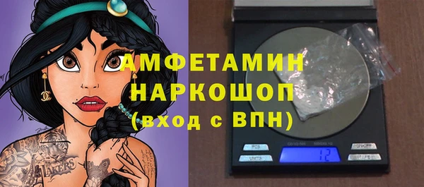 шишки Михайловск
