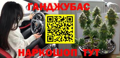 ешки Абакан