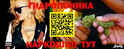 a pvp Волжск