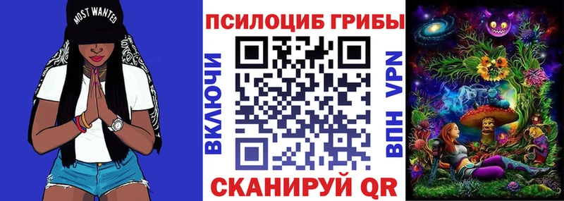 Псилоцибиновые грибы Magic Shrooms  где продают   Зеленогорск 