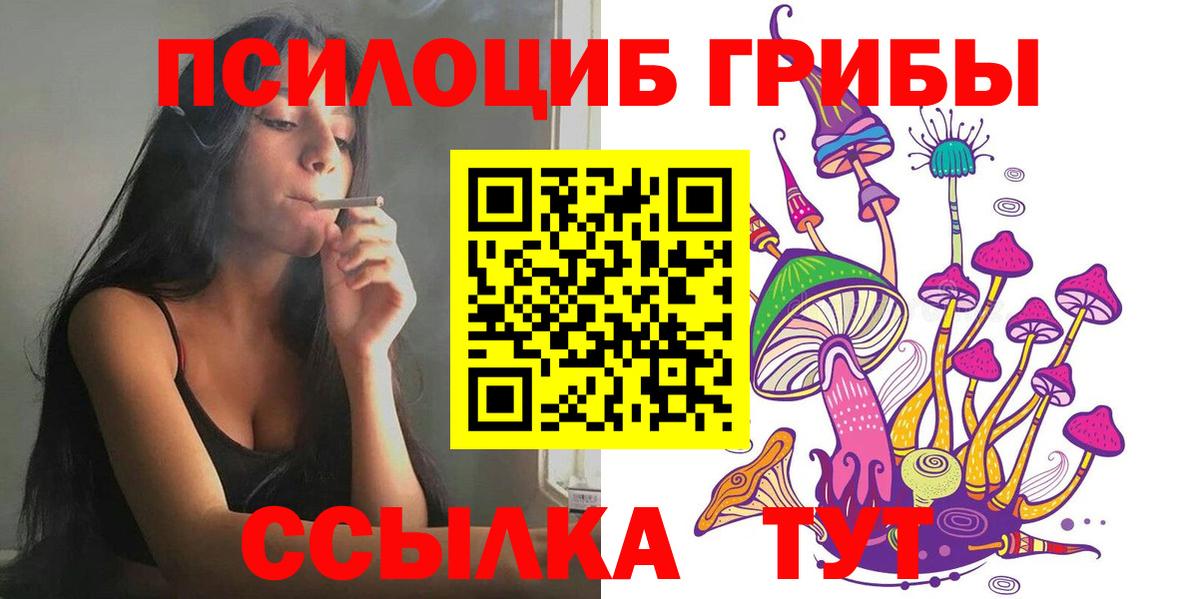 Зеленогорск  магазин    Псилоцибиновые грибы GOLDEN TEACHER  Вход с VPN  Галлюциногенные грибы Magic Shrooms 