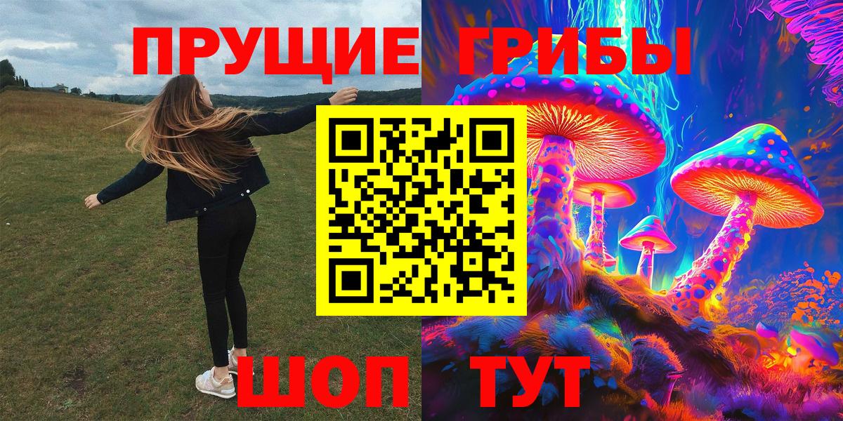 Галлюциногенные грибы Cubensis  Галлюциногенные грибы Psilocybine cubensis  где найти наркотики  Зеленогорск 