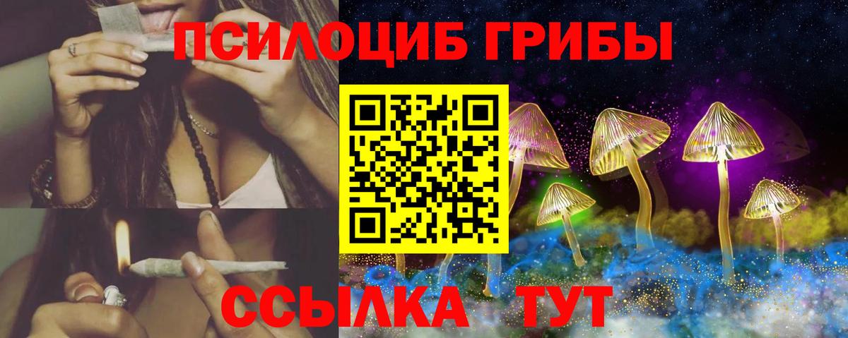 Галлюциногенные грибы мухоморы Зеленогорск
