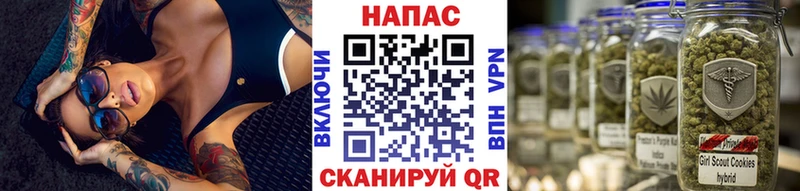 Бошки марихуана Bruce Banner  Зеленогорск 